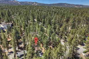 336 W Aeroplane Blvd, Big Bear City, CA 92314 - Photo 36