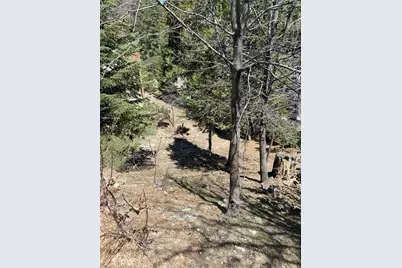 0 Circle, Lake Arrowhead, CA 92323 - Photo 4