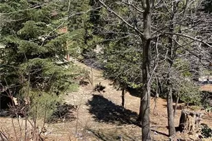 0 Circle, Lake Arrowhead, CA 92323 - Photo 1