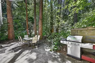 501 Dogwood Canyon, Blue Jay, CA 92317 - Photo 46