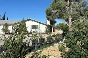 9181 Visalia, Lucerne Valley, CA 92356 - Photo 8