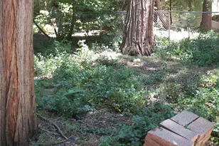 1101 Big Tree, Crestline, CA 92325 - Photo 26