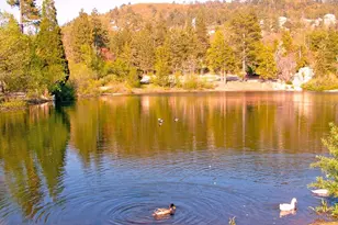 32988 Arrowbear Dr, Arrowbear, CA 92382 - Photo 28