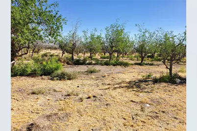 9870 Cody, Lucerne Valley, CA 92356 - Photo 6