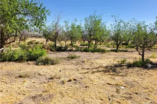 9870 Cody, Lucerne Valley, CA 92356 - Photo 6