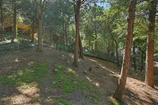 23869 Wildwood, Crestline, CA 92325 - Photo 40