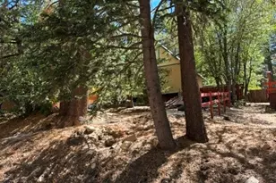 569 Yukon Dr, Green Valley Lake, CA 92341 - Photo 4
