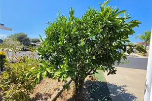 28799 Via Playa Del Rey, Murrieta, CA 92563 - Photo 32