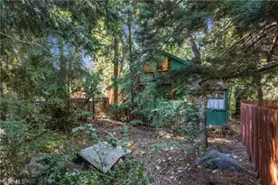 40940 Pine Dr, Forest Falls, CA 92339 - Photo 24