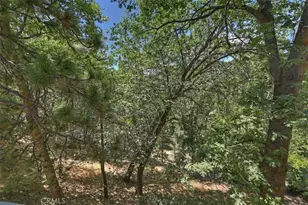 27809 North Bay, Lake Arrowhead, CA 92352 - Photo 32