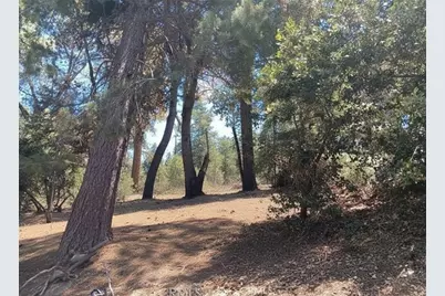 1102 Chateau Drive, Crestline, CA 92325 - Photo 4