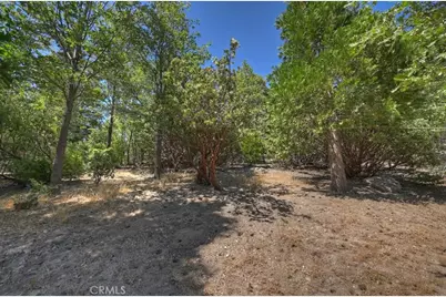 499 Golf Course, Lake Arrowhead, CA 92352 - Photo 48