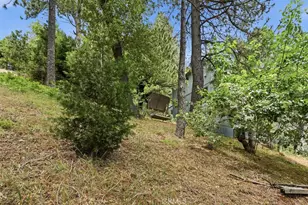 21543 Peak Cir, Cedarpines Park, CA 92322 - Photo 46