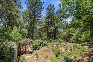 21543 Peak Cir, Cedarpines Park, CA 92322 - Photo 42