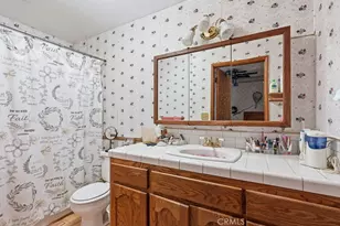21543 Peak Cir, Cedarpines Park, CA 92322 - Photo 22