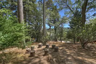 26375 Augusta, Lake Arrowhead, CA 92352 - Photo 38