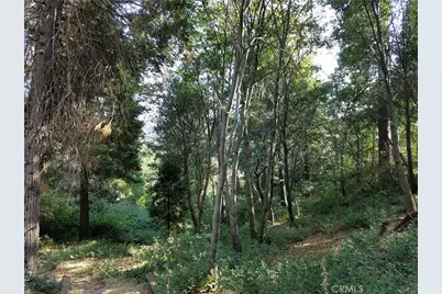 24093 Zurich Drive, Crestline, CA 92325 - Photo 14