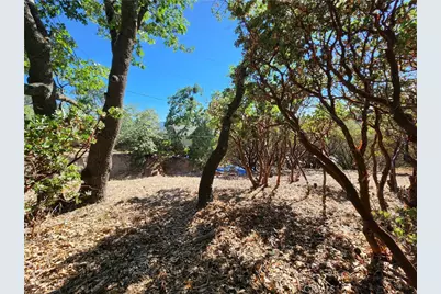 1251 Glacier Drive, Lake Arrowhead, CA 92352 - Photo 8