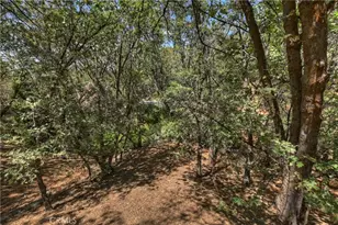 1308 Sequoia, Lake Arrowhead, CA 92352 - Photo 46