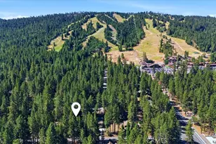 41941 Evergreen, Big Bear Lake, CA 92315 - Photo 4