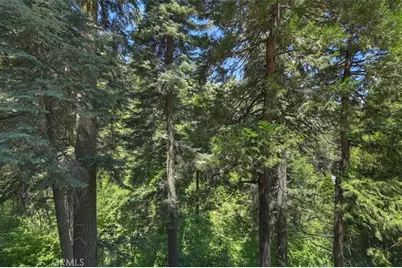 576 Kuffel Canyon Drive, Lake Arrowhead, CA 92352 - Photo 42