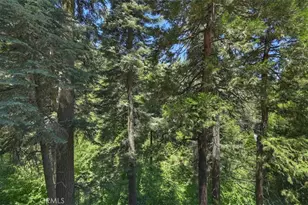 576 Kuffel Canyon Dr, Lake Arrowhead, CA 92352 - Photo 42