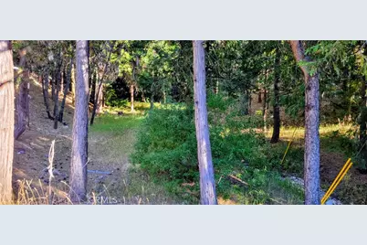 0 Grass Valley, Lake Arrowhead, CA 92352 - Photo 6