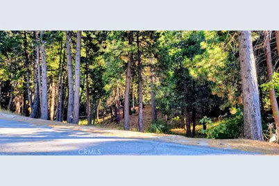 0 Grass Valley, Lake Arrowhead, CA 92352 - Photo 12