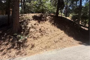 0 Dart Canyon, Crestline, CA 92325 - Photo 1