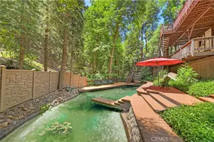31221 Old City Creek, Running Springs, CA 92382 - Photo 66