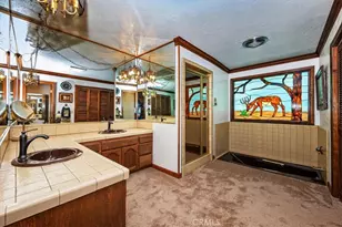 31221 Old City Creek, Running Springs, CA 92382 - Photo 44