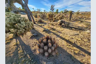 61329 Rocky Vista Lane, Joshua Tree, CA 92252 - Photo 12