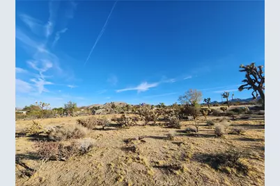 61329 Rocky Vista Lane, Joshua Tree, CA 92252 - Photo 22