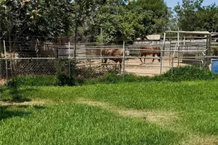 11401 Holmes Ave, Jurupa Valley, CA 91752 - Photo 2