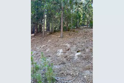 0 Brentwood, Lake Arrowhead, CA 92352 - Photo 2