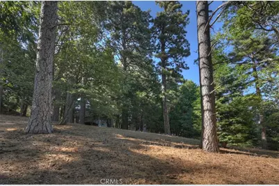 0 Pine, Cedarpines Park, CA 92322 - Photo 4