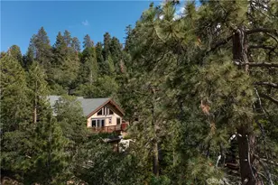 41205 Terrapin Rd, Big Bear Lake, CA 92315 - Photo 52