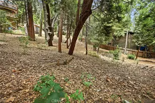 779 Virginia Ct, Lake Arrowhead, CA 92352 - Photo 52