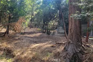 21891 Plunge, Cedarpines Park, CA 92322 - Photo 22