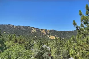 43659 Wolf, Big Bear Lake, CA 92315 - Photo 32