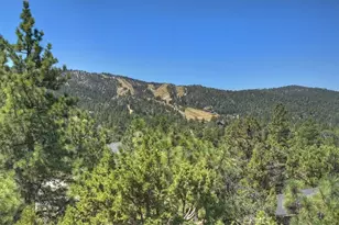 43659 Wolf, Big Bear Lake, CA 92315 - Photo 30