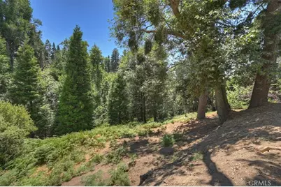 31095 Old City Creek Rd, Running Springs, CA 92382 - Photo 50