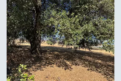 61 Redwood, Calimesa, CA 92320 - Photo 12