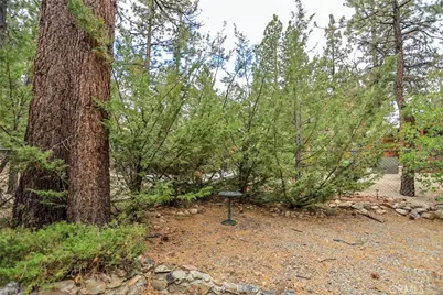 630 Pine, Sugarloaf, CA 92386 - Photo 28