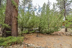 630 Pine, Sugarloaf, CA 92386 - Photo 28