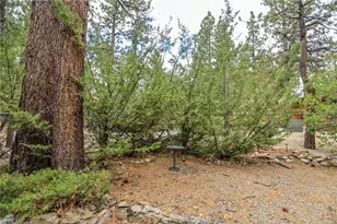 630 Pine, Sugarloaf, CA 92386 - Photo 28