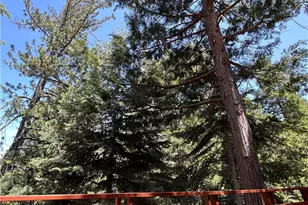 26227 Lake Forest, Twin Peaks, CA 92391 - Photo 44