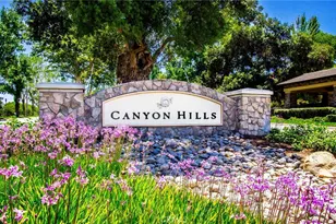 36410 Nettle Ct, Lake Elsinore, CA 92532 - Photo 58