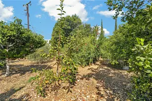 302 S San Mateo St, Redlands, CA 92373 - Photo 40