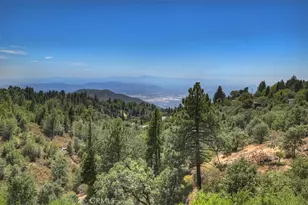 30607 Ferndale, Running Springs, CA 92382 - Photo 38